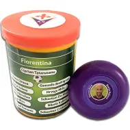 Squadra di calcio da tavolo Fiorentina