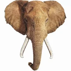 WOW puzzle elefante gigante da 700 pezzi immagine 2