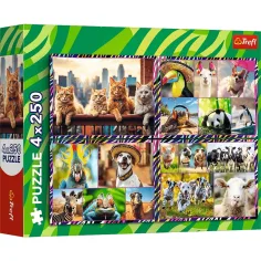 Animali divertenti puzzle 4x250 pezzi - Trefl immagine 1