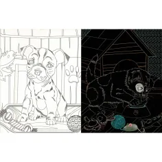 Animali nascosti - Libretto da colorare con pagine da grattare e colorare immagine 2