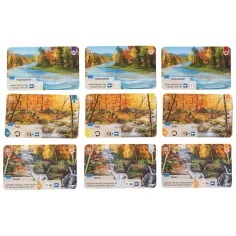 Az erdő – Smoky Mountains, gioco da tavolo immagine 2