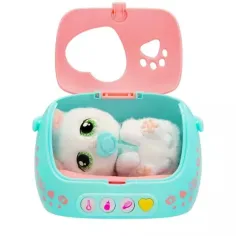 Baby Paw – Gattino immagine 2