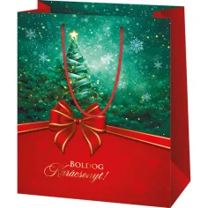 Buon Natale borsa regalo di dimensioni normali verde-rossa 11x6x14cm