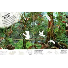 Che interessante è il mondo... Album di adesivi di animali selvatici immagine 2