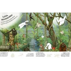 Che interessante è il mondo... Album di adesivi di animali selvatici immagine 3