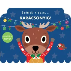 Contare alla rovescia... Fino a Natale! libro di fiabe