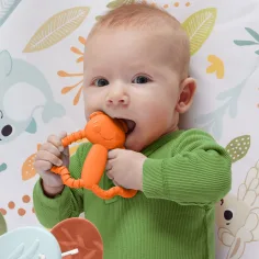 Fisher-Price: Personaggi divertenti Massaggiagengive a forma di insetto - Mattel immagine 3