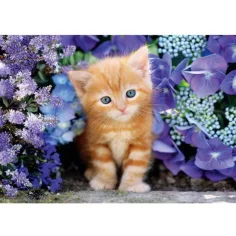 Gatto rosso tra i fiori puzzle compatto HQC da 500 pezzi - Clementoni immagine 2