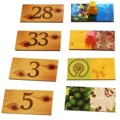 Gioco da tavolo Kingdomino immagine 2