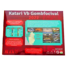 Katari VB Calcio a 5 con palla 2022 set di gioco immagine 2