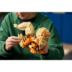LEGO® Pokémon: Arcanine (72160) immagine 8