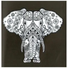 Colori brillanti - Animali immagine 4