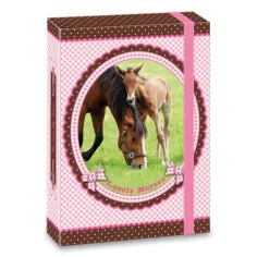 My Horse scatola per quaderni A5
