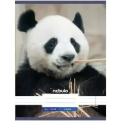 Nebulo: Panda quaderno liscio A4 80-32
