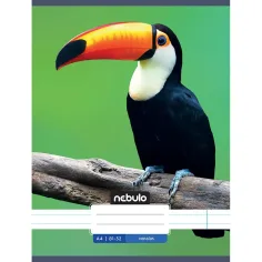 Nebulo: Quaderno a righe con motivo Tucano 81-32 A/4