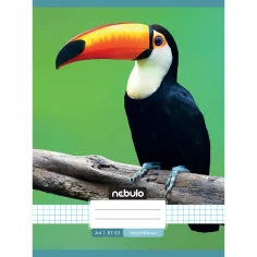 Nebulo: Quaderno a righe con motivo tucano 87-32 A/4