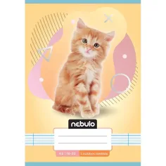 Nebulo: Quaderno rigato di 2° classe A5 16-32 Animali - Gattini
