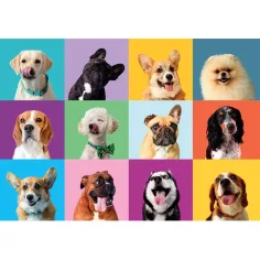 Puzzle di 300 pezzi di facce di cani felici - Clementoni immagine 2