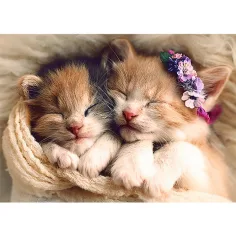 Puzzle premium da 500 pezzi con gattini dormienti - Trefl immagine 2