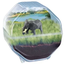 Science & Play: Mini elefante terrario set di gioco - Clementoni immagine 2