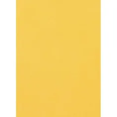 Spirit: Pannello di spugna dorata A/4 di dimensioni 2mm