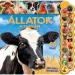 20 suoni - Animali nella fattoria