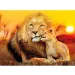 Abbraccio inaspettato puzzle Super color 180 pezzi - Clementoni