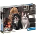 Adorabili gattini puzzle da 1000 pezzi HQC - Clementoni
