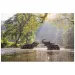 Animal Planet: Elefanti nel lago puzzle da 1000 pezzi