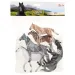 Animal World set di 5 cavalli