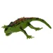 Animale elastico spaventoso