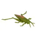 Animale elastico spaventoso