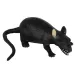 Animale elastico spaventoso