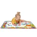 Aquadoodle Deluxe Super tappeto arcobaleno