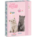 Ars Una: Animali carini - Festa del tè, scatola per quaderni A/5 con gattini