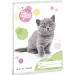 Ars Una: Animali carini - Gatto British Shorthair quaderno a righe per la 2ª classe 32 pagine A/5