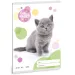 Ars Una: Animali carini - Gatto British Shorthair quaderno semplice A/5 20-32