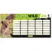 Ars Una: Bence Máté Icons of the Wild - Leoni, orario scolastico singolo a due facce