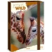 Ars Una: Icons of the Wild Giraffes scatola portaquaderni formato A/4