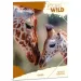 Ars Una: Máté Bence Icons of the Wild-Giraffe cartella con elastico formato A4