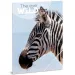 Ars Una: Máté Bence The Eyes of the Wild - Zebra A/4 cartella con elastico