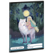 Ars Una: Northern Lights A/5 quaderno a righe per la 3ª elementare 12-32