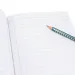 Ars Una: Quaderno a righe per la terza classe con riccio Apple Pie A/5