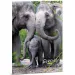 Ars Una: Serenità – Cartellina con elastico formato A/4 Elefante