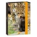 Ars Una: Serenity Jaguar cartellina formato A5