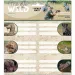 Ars Una: The Eye of the Wild 2 etichette per quaderni confezionate 3x6 pezzi