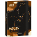 Ars Una: Wild in the dark scatola per quaderni A/5
