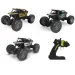 Auto arrampicatore RC telecomandato 1/20 in diverse varianti