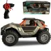 Auto fuoristrada telecomandato RC con roll-bar in scala 1/16, 20 cm, disponibile in due colori.