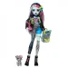 Bambola Monster High - Mostruosamente Nuova Frankie Stein - Mattel